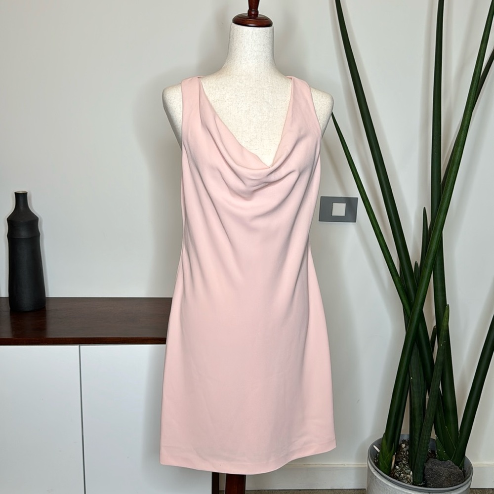 Alice + Olivia dress Size 8 blush NWT